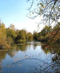 Domaine des Carpes Sauvages