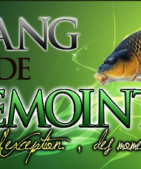 Etang de fremointin