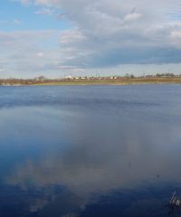 Étang de Montchanin