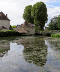 La Veyle – Secteur Vonnas