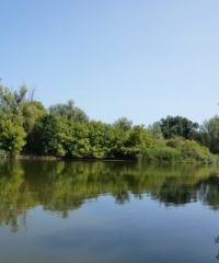 La Seille – Secteur Louhans