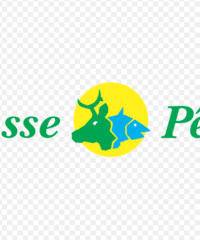 Chasse Pêche Langon
