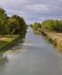 Canal de la Haute-Seine