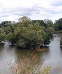 L’étang du Grand Coutance