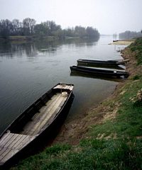 La Loire – Secteur Chouzé Sur Loire