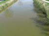 Le Canal de Brouage