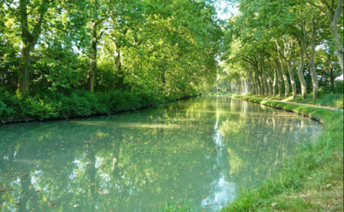 Le Canal du Midi – Secteur AIzonne