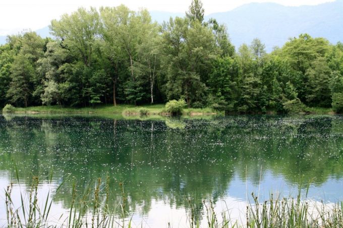 Lac de Grésy-sur-Isère