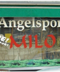 AngelSport Milo
