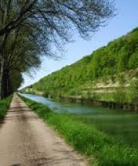 Canal Champagne Bourgogne – Secteur Bayard sur Marne