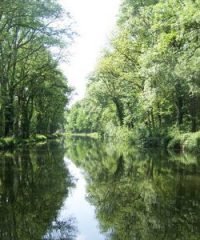 Le canal des Vosges – Secteur Neuviller sur Moselle