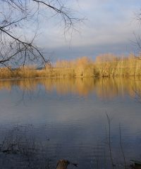 L’étang de Béthencourt