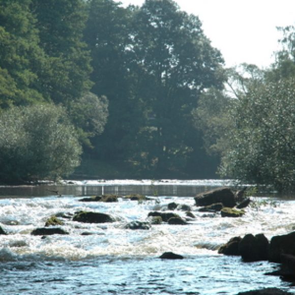 Meurthe-et-moselle (54)