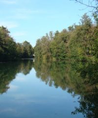 La rivière Ognon – Secteur Boulot