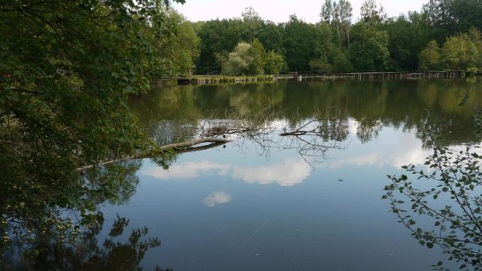 Les étangs de Vert-Le-Petit