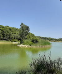 Lac de Laure Minervois
