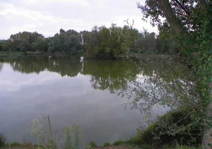 L'étang à Brochets