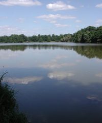 Grand étang de Venas