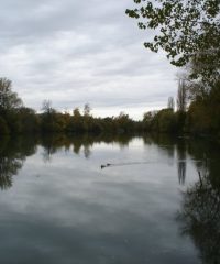 La Marne – Secteur Ussy sur Marne