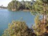 L'étang vert Delcampo